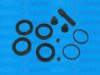 AUTOFREN SEINSA D4060 Repair Kit, brake caliper